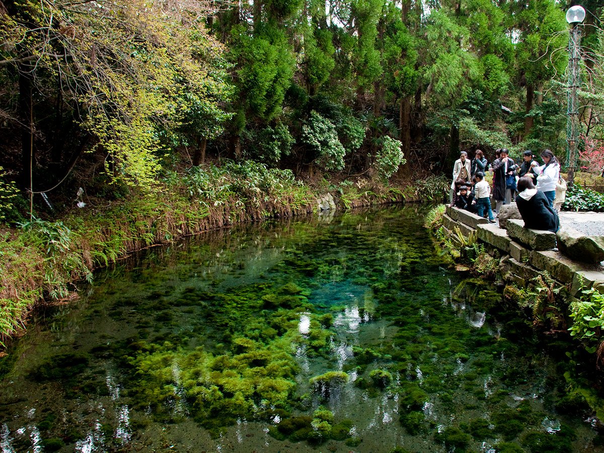 💧 시라카와 수원(시라카와스이겐) 이미지 7